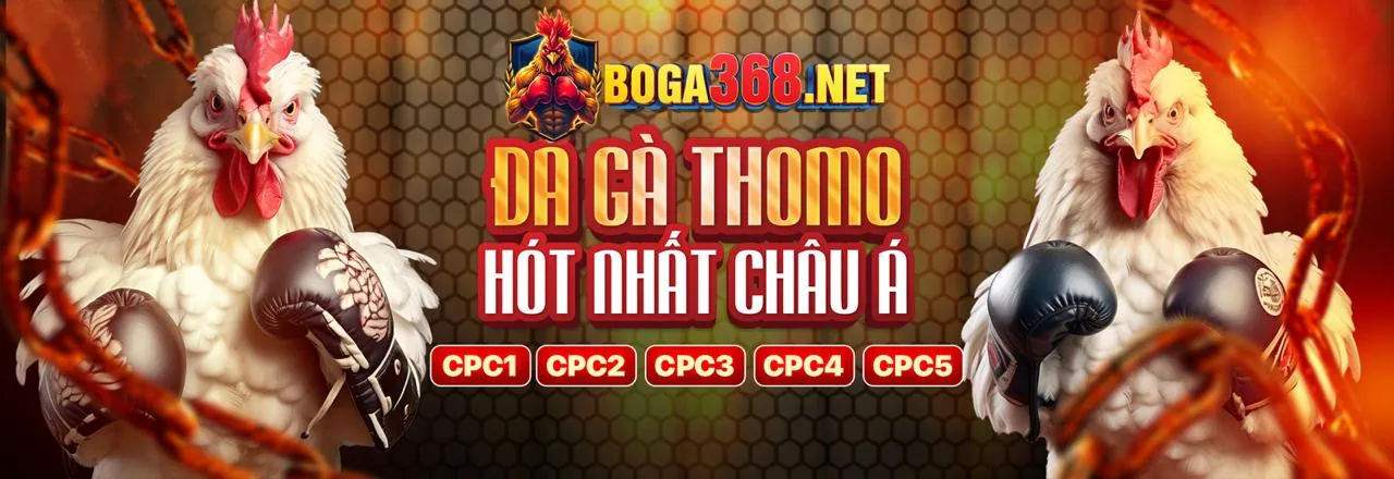 Kinh nghiệm cá cược thể thao trực tuyến tại sa bong 67
